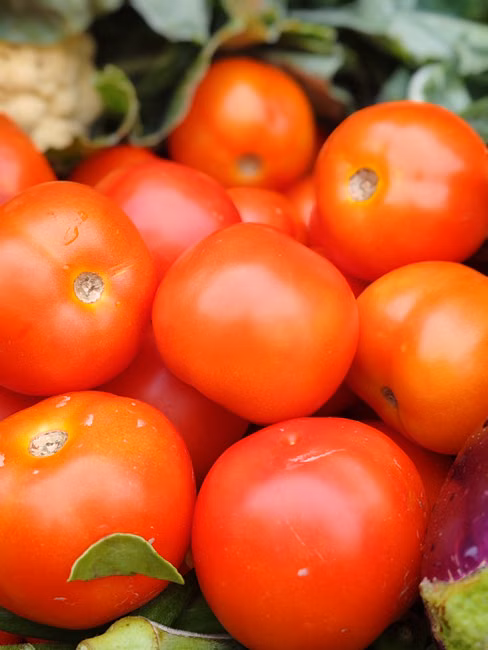 Tomate Italiano (kg)